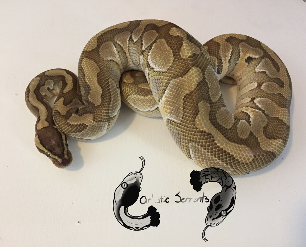 Hades (M;2019 Butter Enchi het Clown)