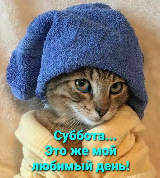 C8CAB554-72F8-4AFB-A2DE-843E3CDE3544