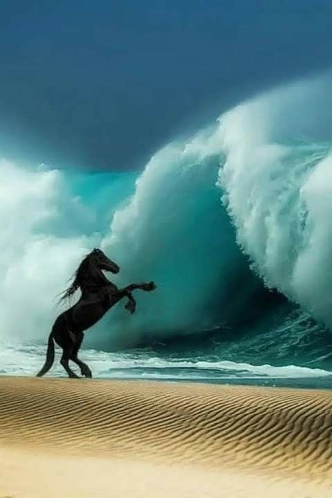 turquoisewaterblackhorse.jpg