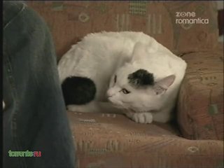 https://i.postimg.cc/P5515YF2/99-14-35-04.jpg