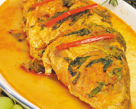 Penggek ikan mas
