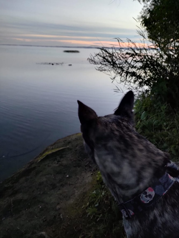 304664F1-5839-438F-BF50-01CE54A8AFC9