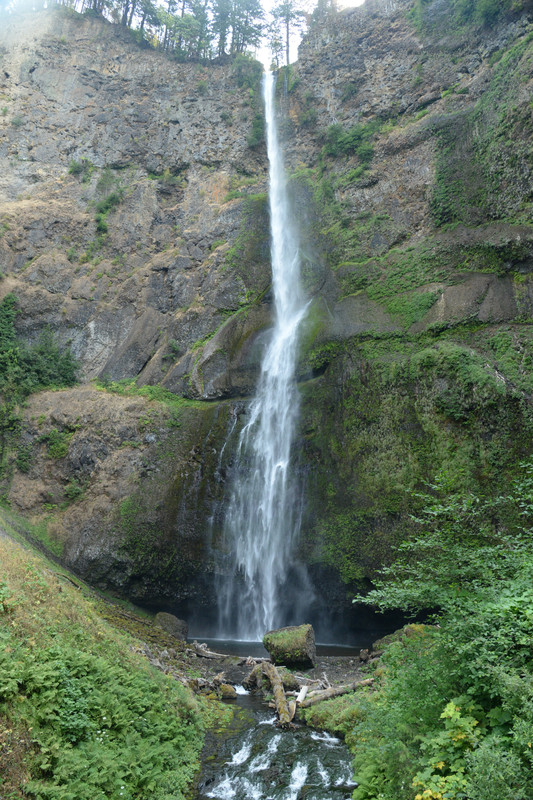 Árboles gigantes, fuegos y volcanes extintos - Oregon y California norte (2018) - Blogs de USA - Centro, Columbia River Gorge y Mount Hood (12)