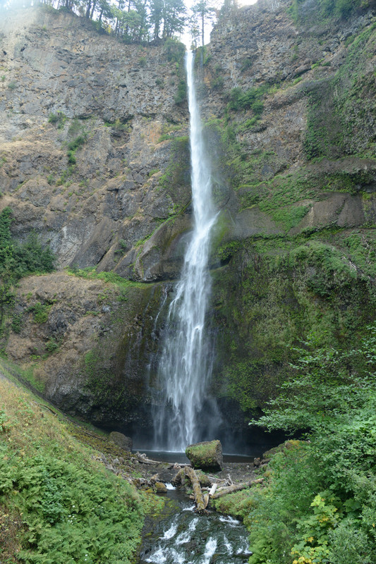 Centro, Columbia River Gorge y Mount Hood - Árboles gigantes, fuegos y volcanes extintos - Oregon y California norte (2018) (12)