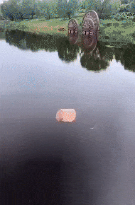 https://i.postimg.cc/P55CTkVQ/1.gif