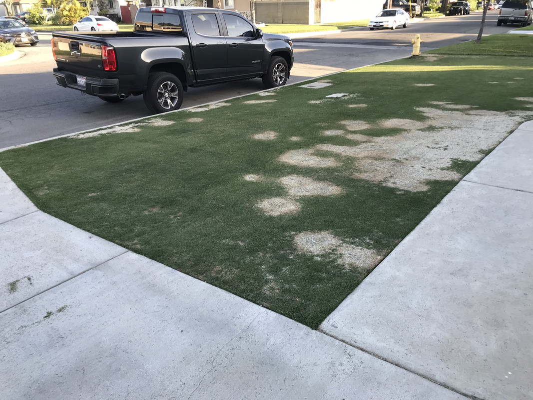 C0EC08D4-FCB2-4973-BD07-1C4251913C96