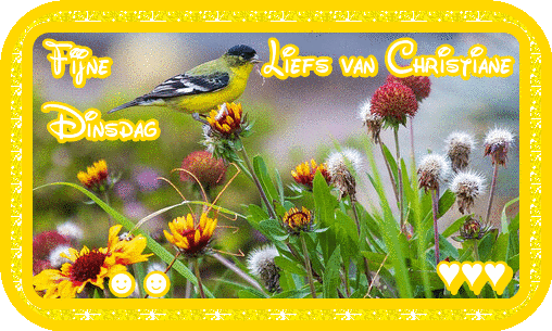 VOOR-EIGEN-BLOGJE-20-OKTOBER.gif