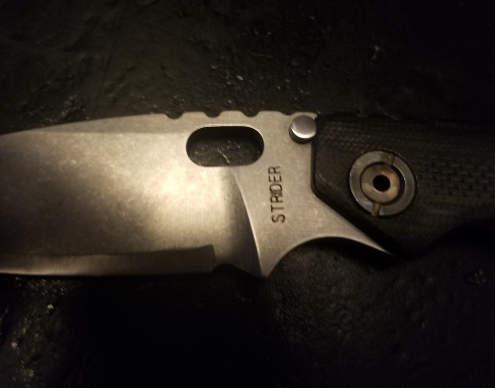 Strider SMF CC Carbon (3)