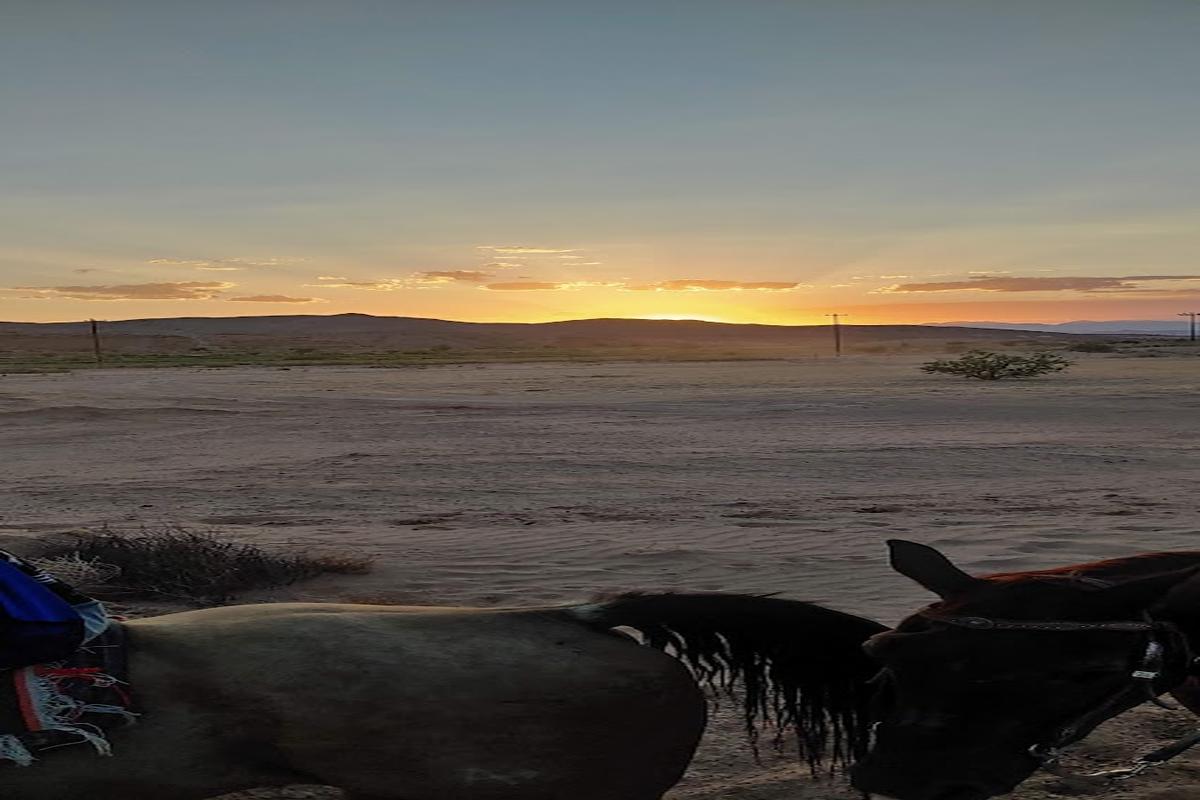 Las Vegas horseback ride