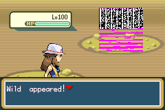 the trainer's encountered a glitchy thing with a blank name