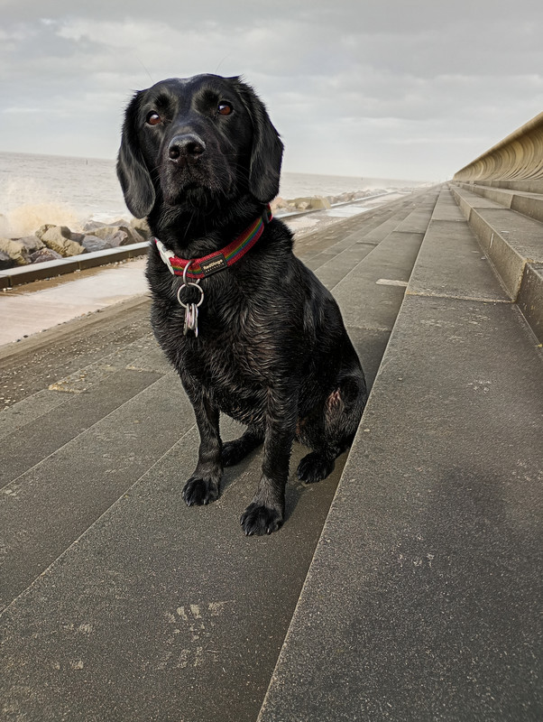 IMG 20260221 124405372 HDR