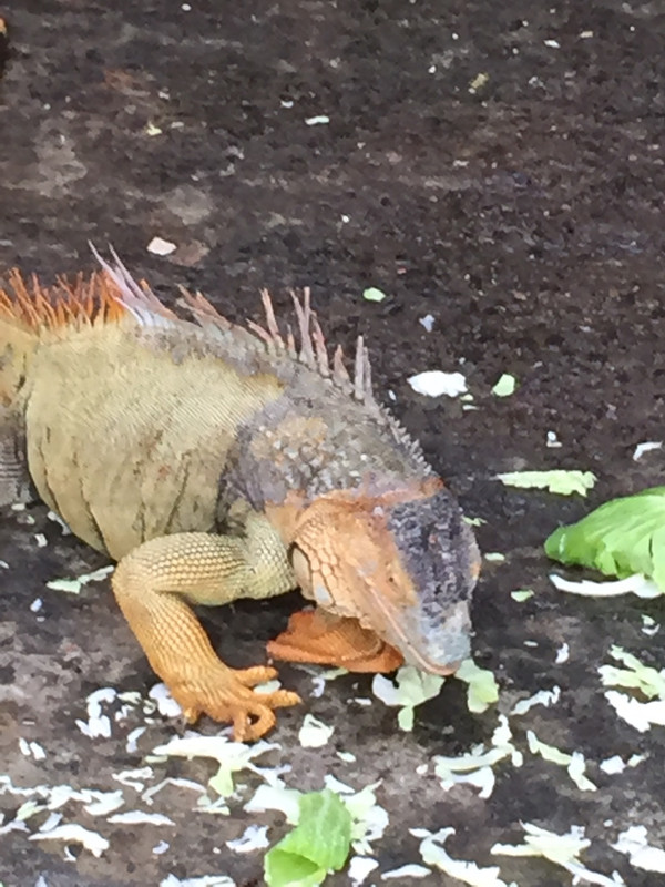 C4AB291F-8541-45C8-AB11-5FD884ABA040