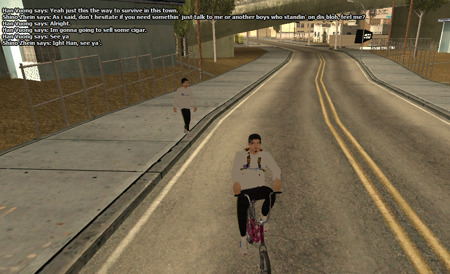ss3.png
