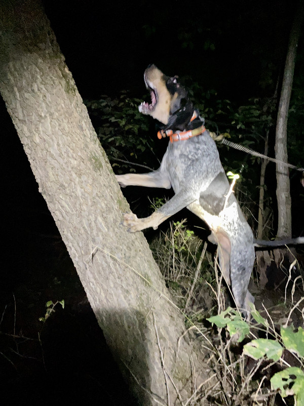 4844388B-0E47-48DC-80CE-8D3941755900