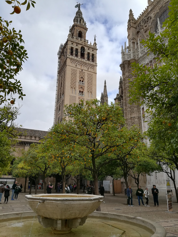 Día tres: El alcázar de Sevilla y la Catedral. - Sevilla, bajo la lluvia de otoño (34)