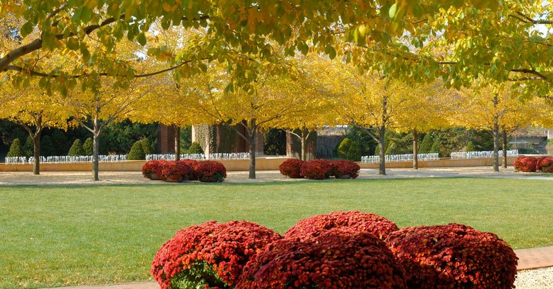 118219349-10158635372870699-691990682069943437-n