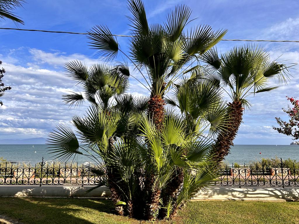 Жаркий сентябрь на побережье Тирренского моря. Жаркий сентябрь на побережье Тирренского моря.