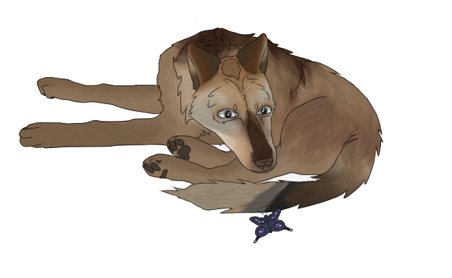 Wolf-Adopt-1-Form-1.png