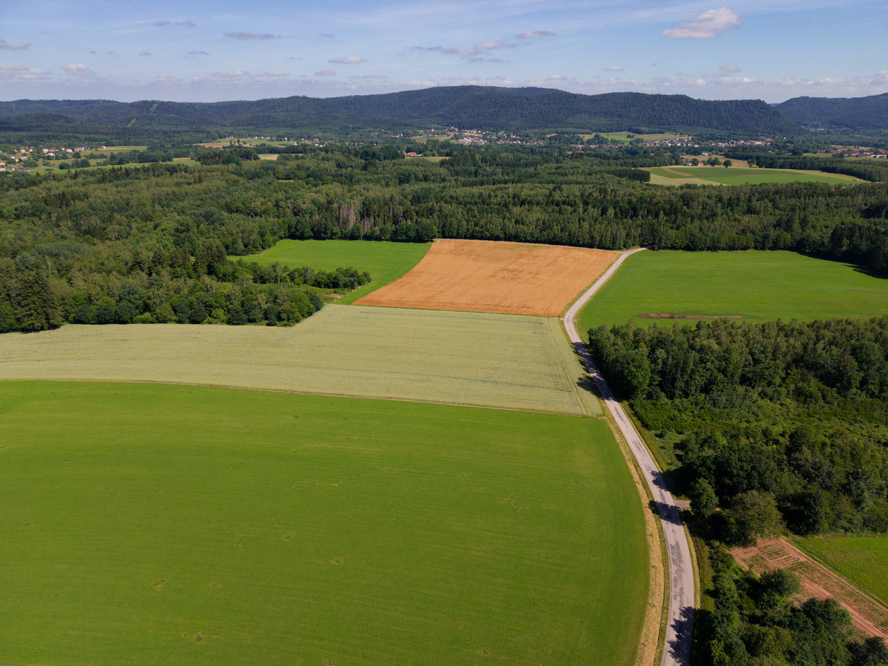 DJI 20260615093752 0183 D dxo