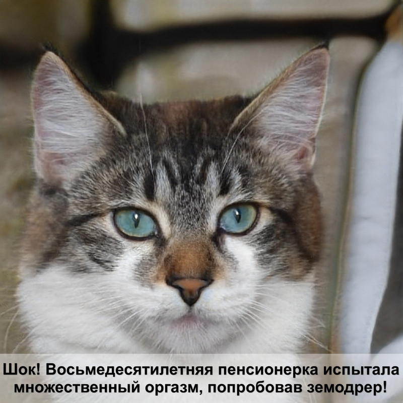 корм гурме отзывы