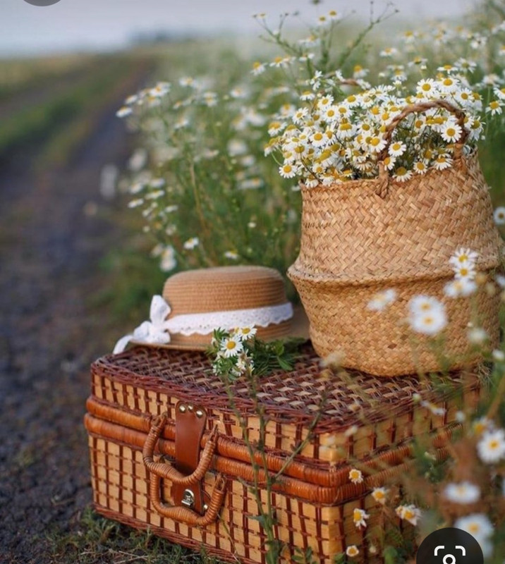 Screenshot_20240404_203105_Pinterest