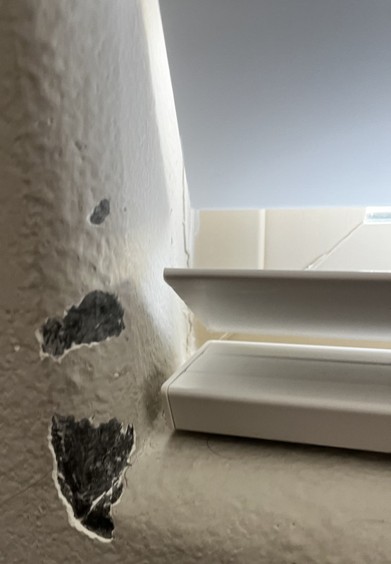 0F772216-D715-4388-8733-C25777EEE253