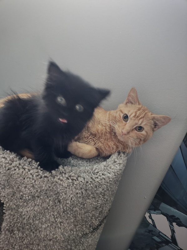 [Image: IMG-20250630-165234232.jpg]