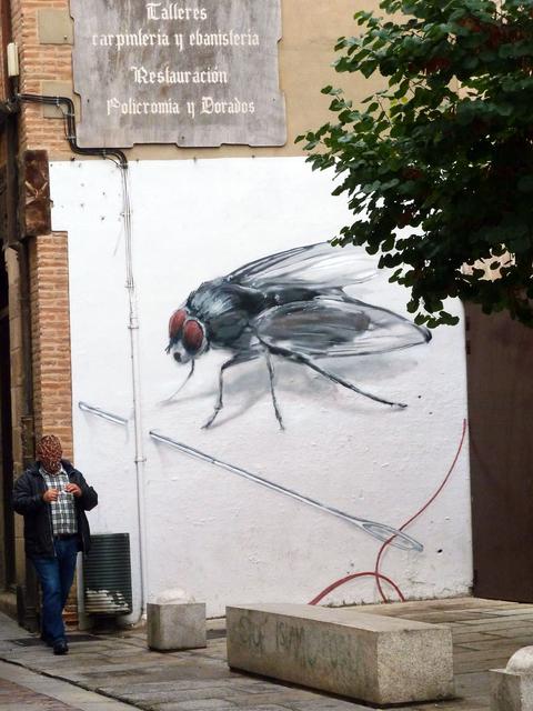ZAMORA, TORO y "Las Edades del Hombre" - Blogs of Spain - Sábado en Zamora (23)