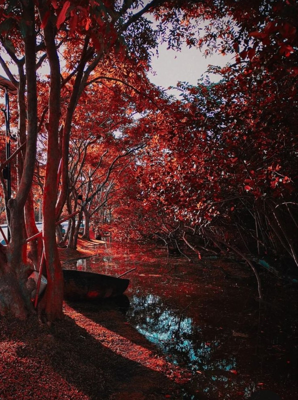 Screenshot_20240131_210509_Pinterest