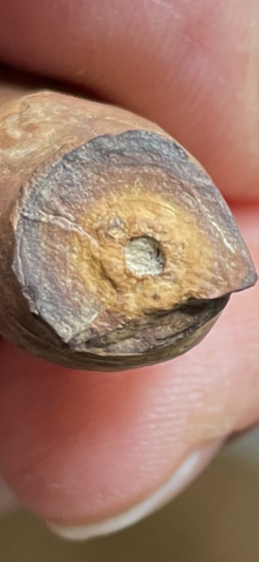 3093E5A9-5E11-47D4-82BD-3DDFD61A3265