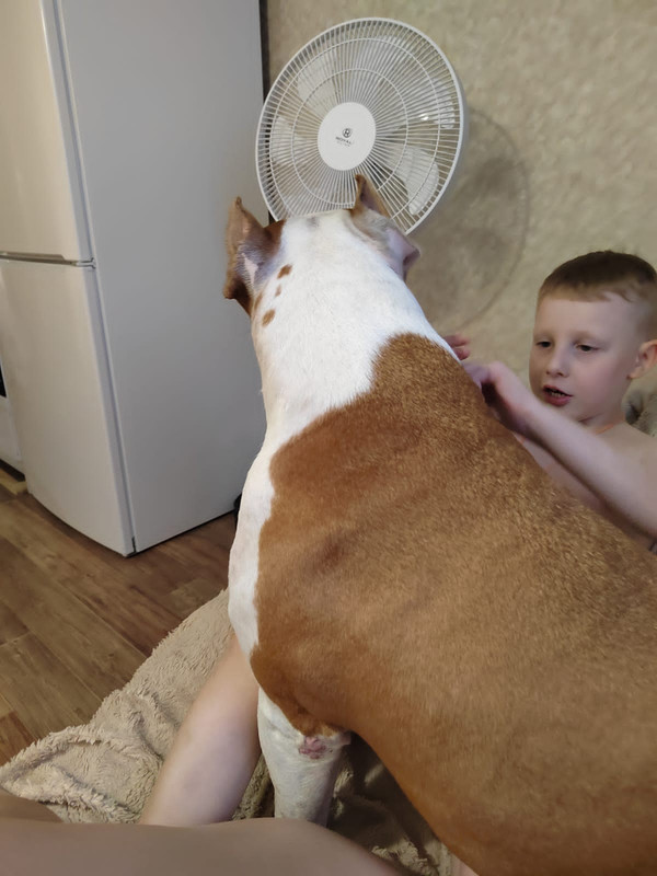 04BF1BCF-AAB9-4624-B734-012895A46ADA