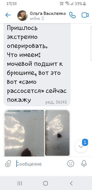 Screenshot-20220623-173217-VK.jpg