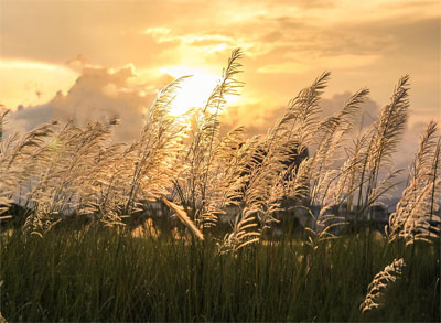 [Image: NG-Y-NG-T-V-I-C-NH-NG-C.jpg]