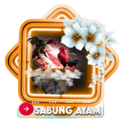 sabung ayam