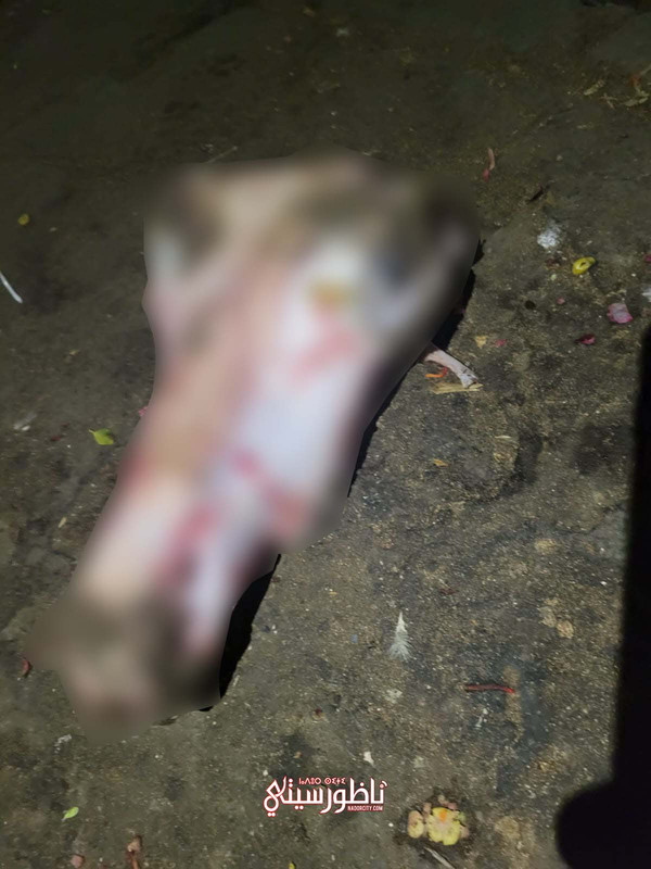 WhatsApp Image 2024-08-27 at 23.27.58 (2)