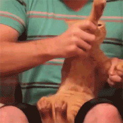 Gq-VK.gif
