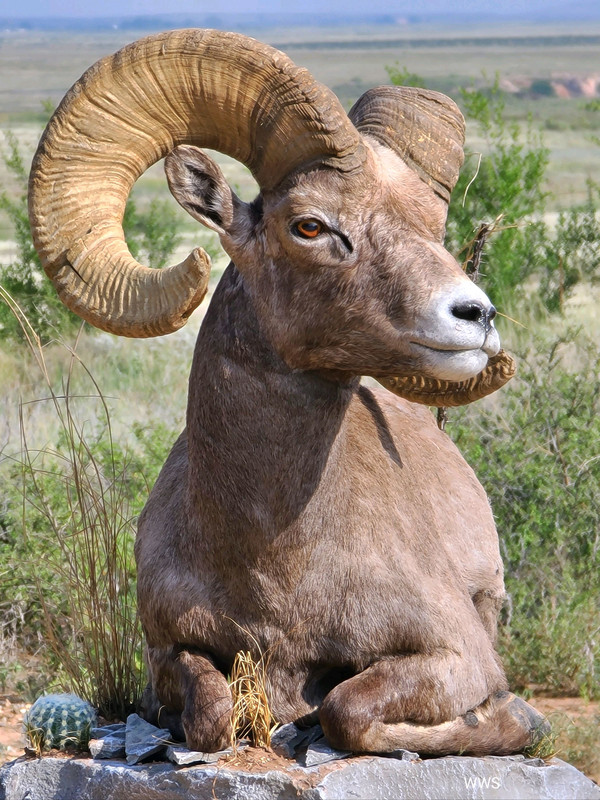 24D24D9E-7D83-4AB4-A061-17838DDD3BAE