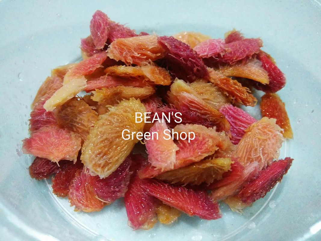 Garcinia-Forbesii-00