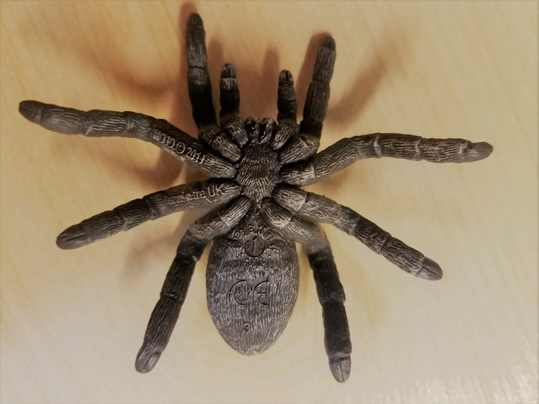 mojo - Tarantula (Mojo Fun) 20190424-174649