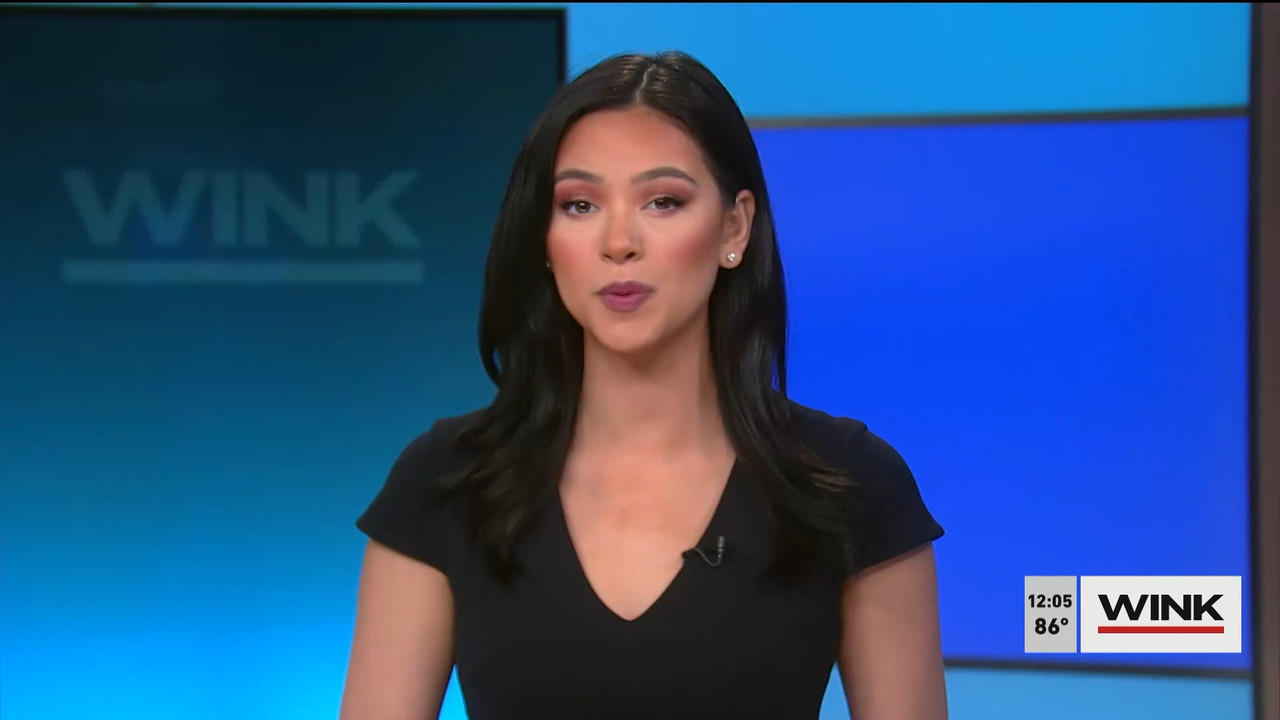 The WINK Noon News 2022_03_11_17_00_00.ts_snapshot_12.05.754