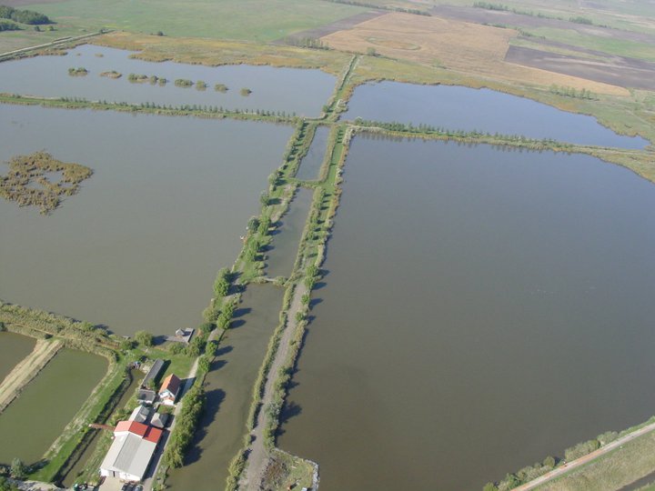 Jászkiséri halastavak 0.2