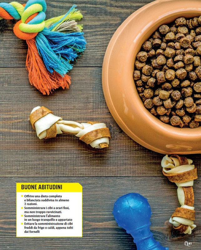 QuattroZampe Gen 2022 (10)