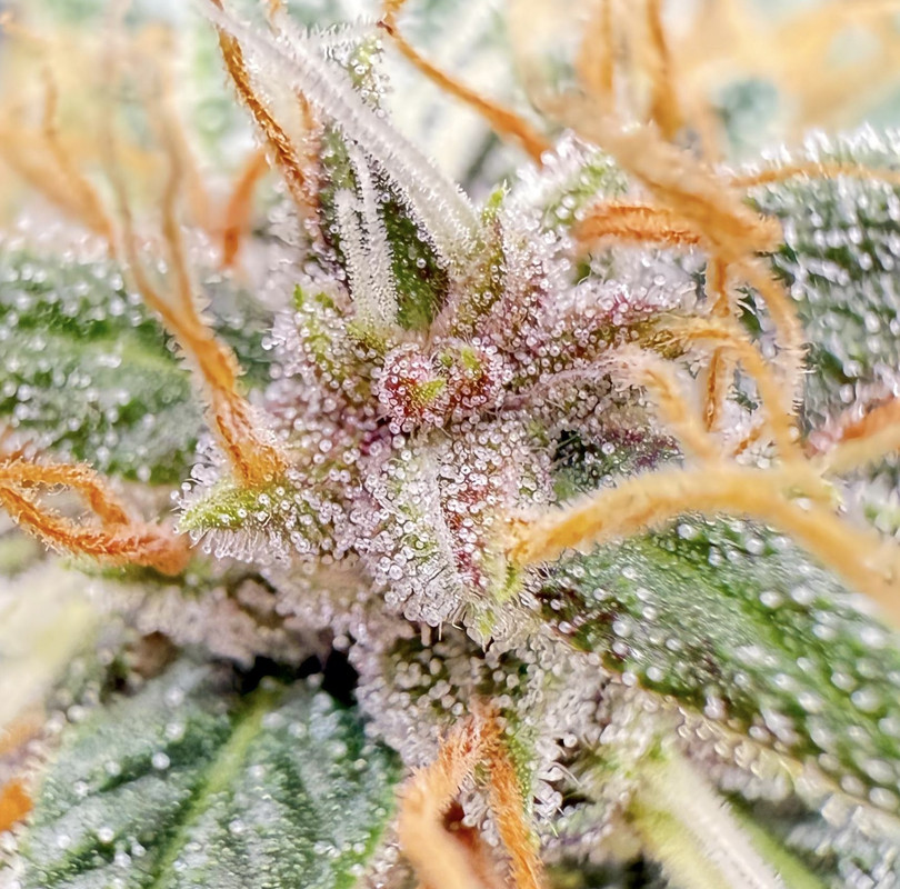 65751841-B984-4522-9DC2-291FB9CDE646