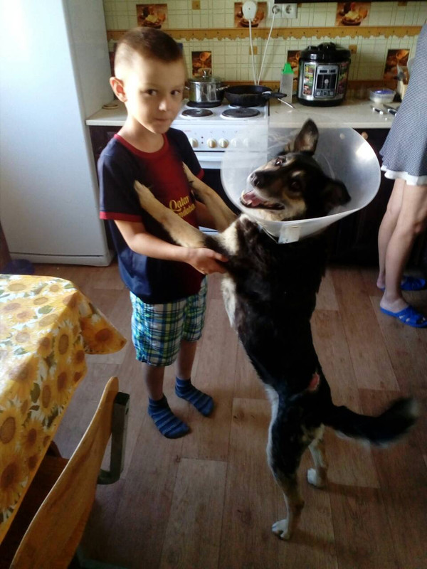 IMG-146c55f360c38a921fe880b439afd0a8-V