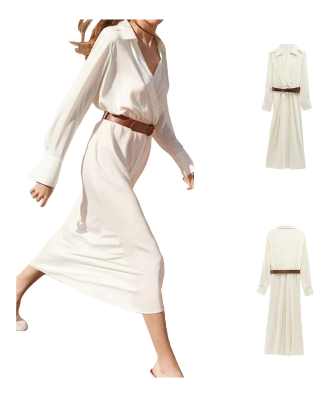 Zara Dress
