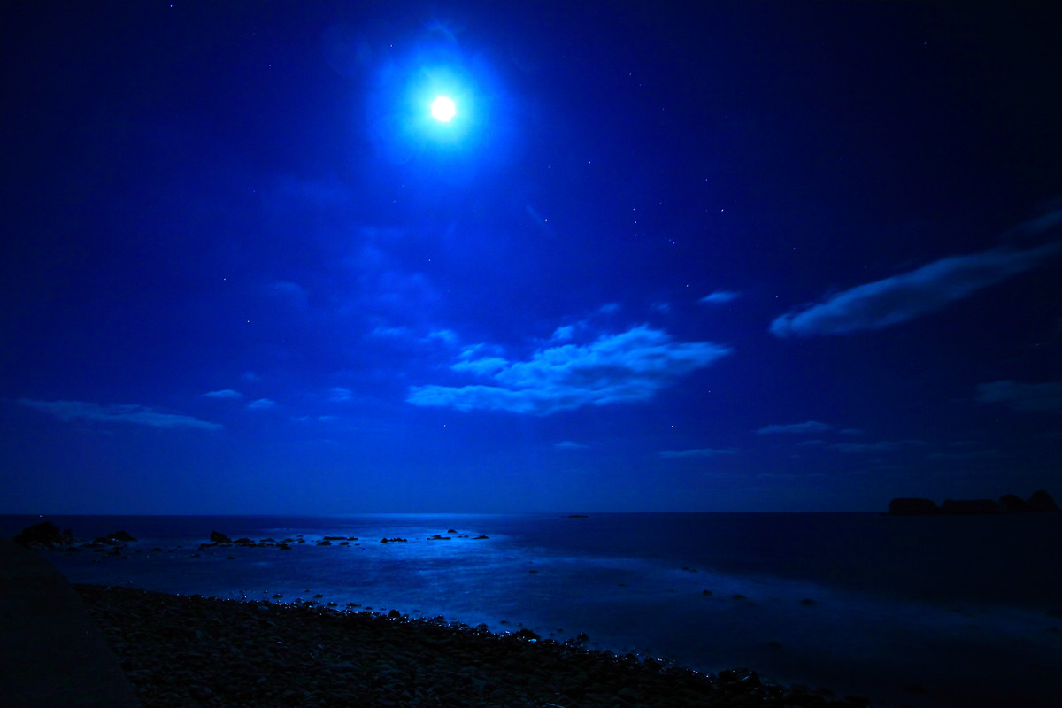 Night Beach Scene
