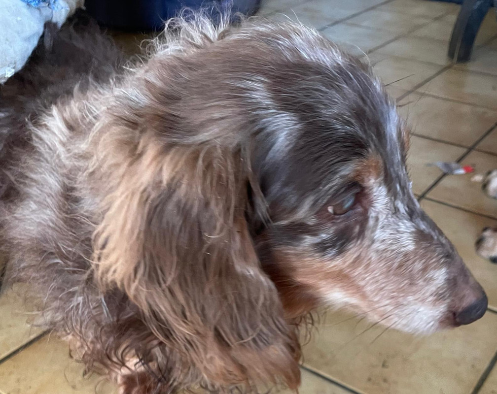 [Image: IMG-20250320-WA0000.jpg]