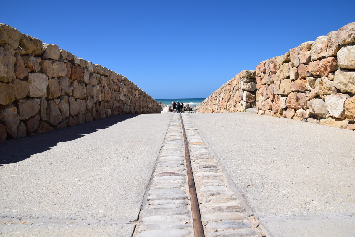 DSC_0015 (2)