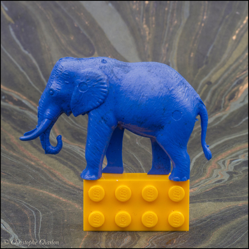 Back in CCCP: A blue savannah and other rubber animals CCCP-Elephant-1