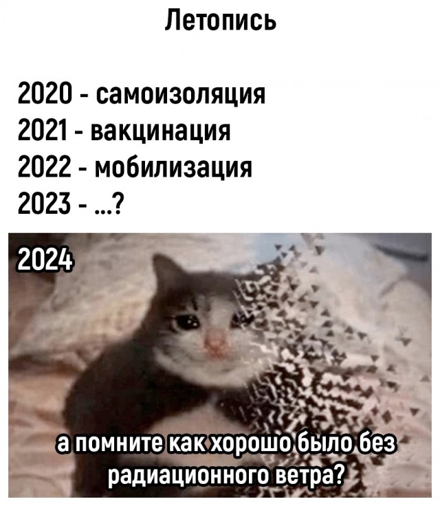 17206863.jpg